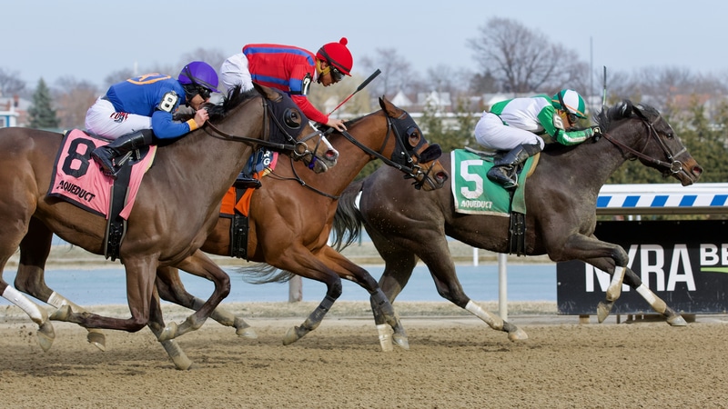 Arrifana Ready for Stakes Debut in Comely at Aqueduct