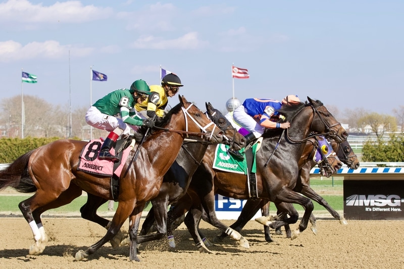 Chateau Looks to Wire Field in Fall Highweight at Aqueduct