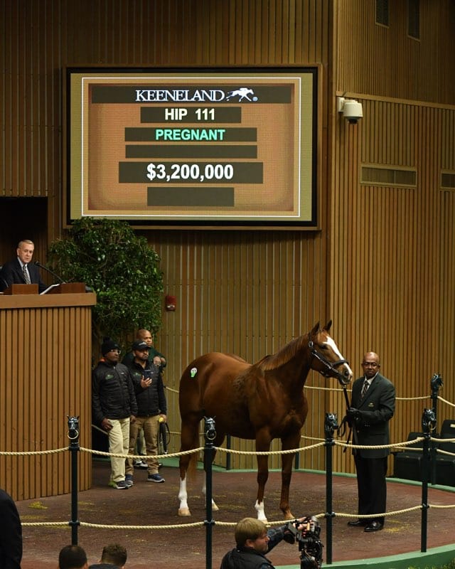 Take Charge Brandi Goes for $3.2 Million At Keeneland Sale