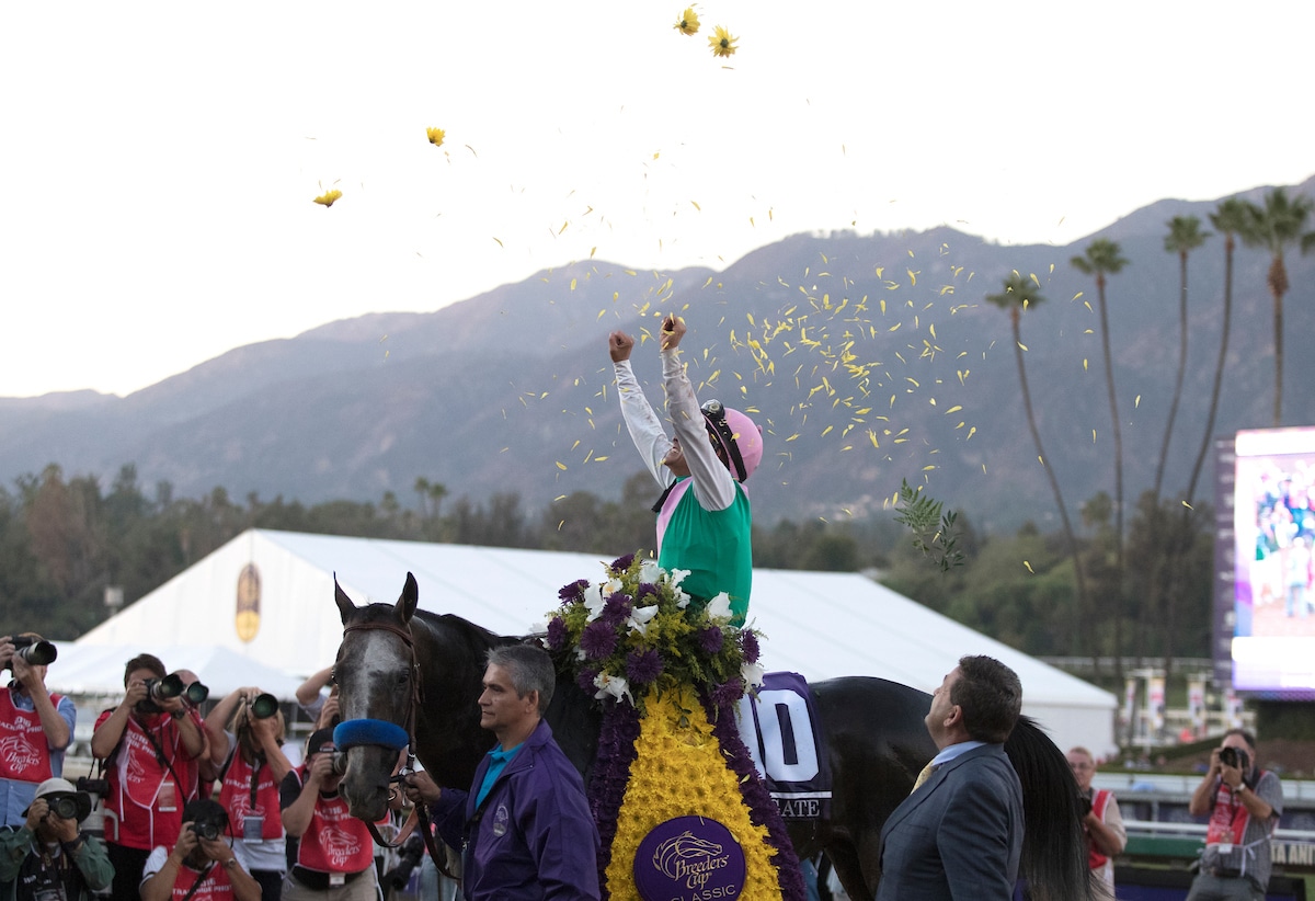 Breeders’ Cup Classic Selections and Analysis