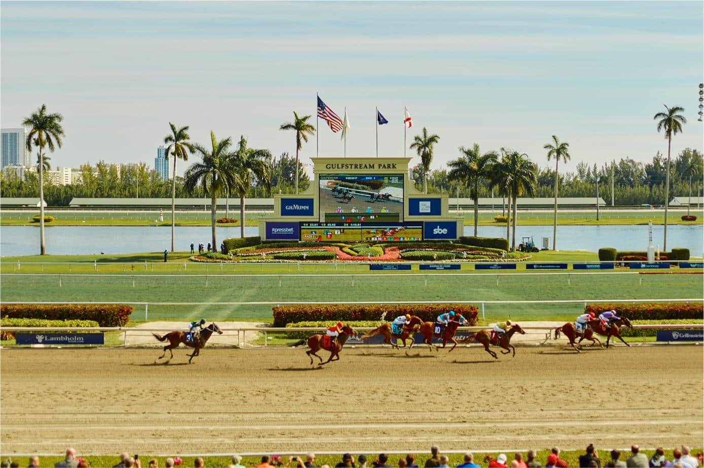 2020 Pegasus World Cup Betting Odds