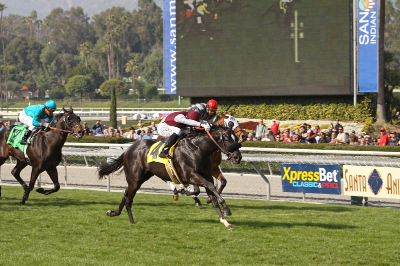 Juvenile Fillies Battle in Blue Norther at Santa Anita