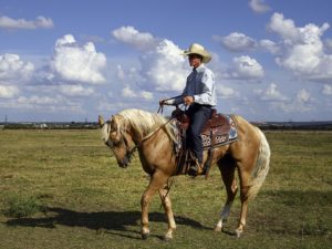 How to Become a Horse Trainer