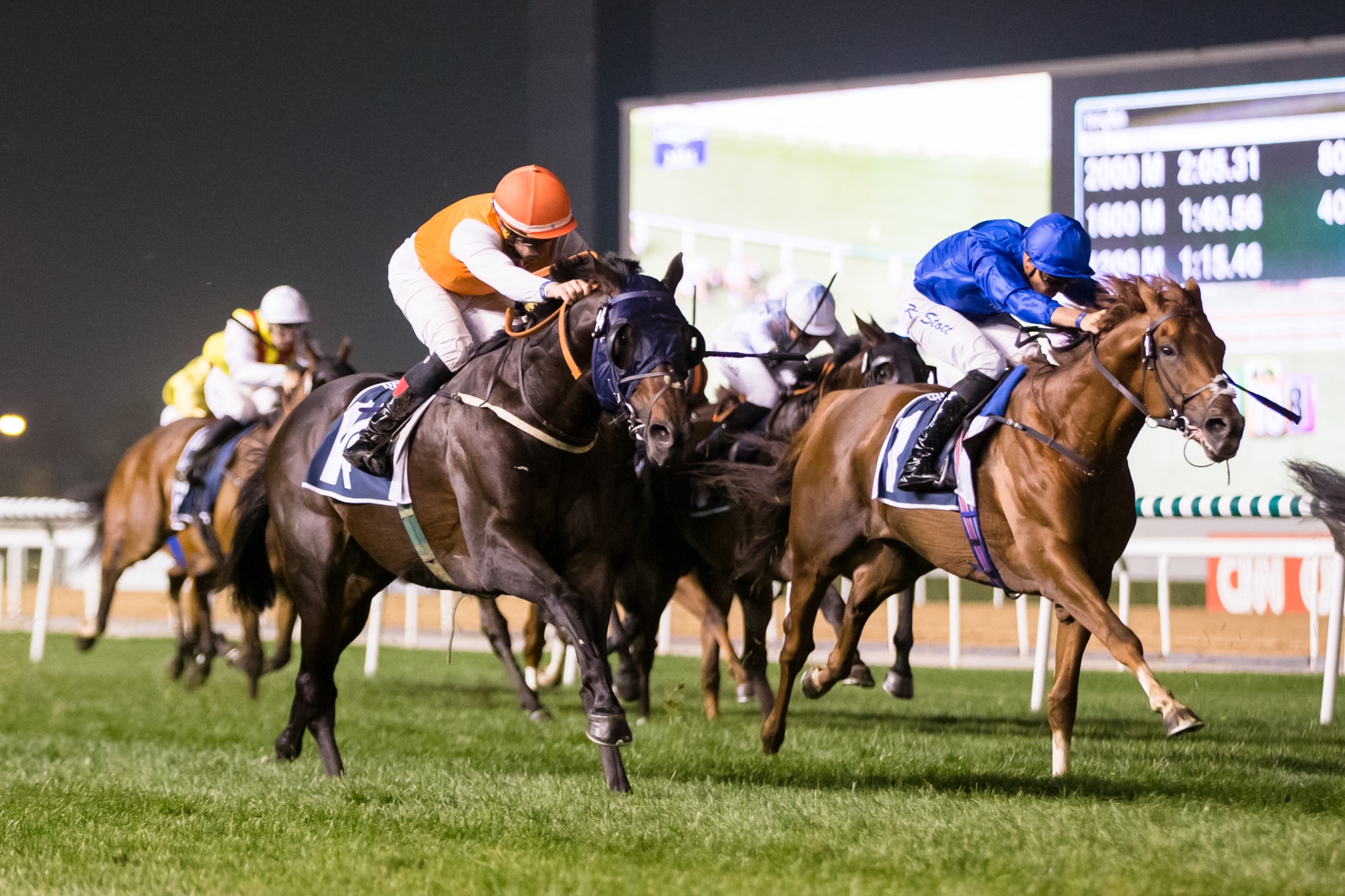 Super Saturday Preview for Meydan Horse Racing Reports and News