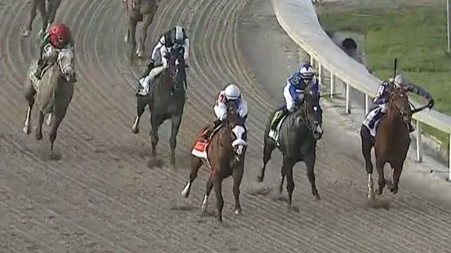 Tiz the Law Puts in Final Work for Belmont Stakes