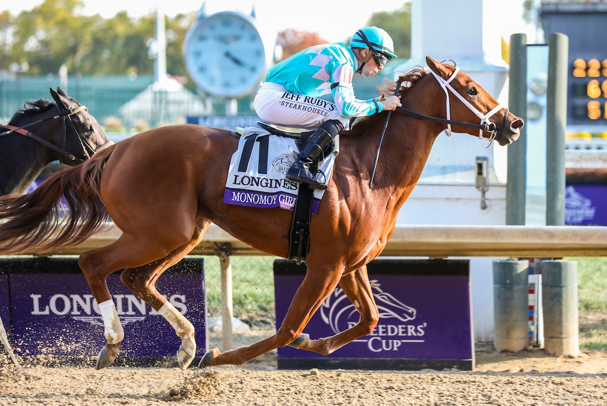 breeders cup mile betting odds
