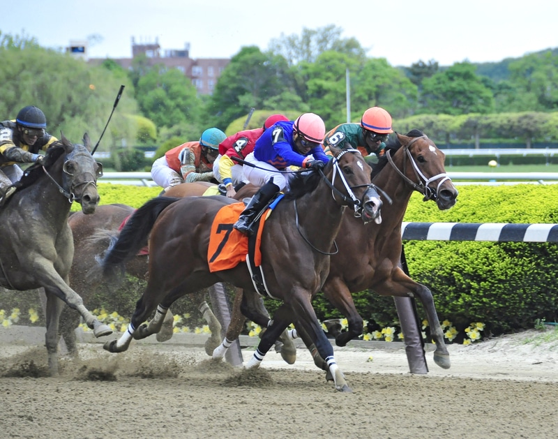 Horologist Looks For Repeat in Beldame