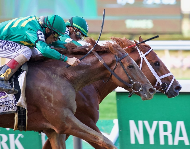 Six Graded Stakes on Belmont Stakes Day Card