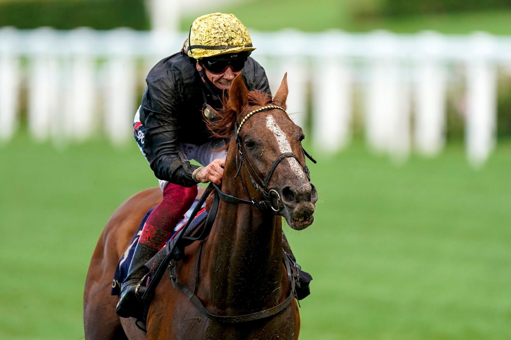 Stradivarius Wins Third Gold Cup at Royal Ascot