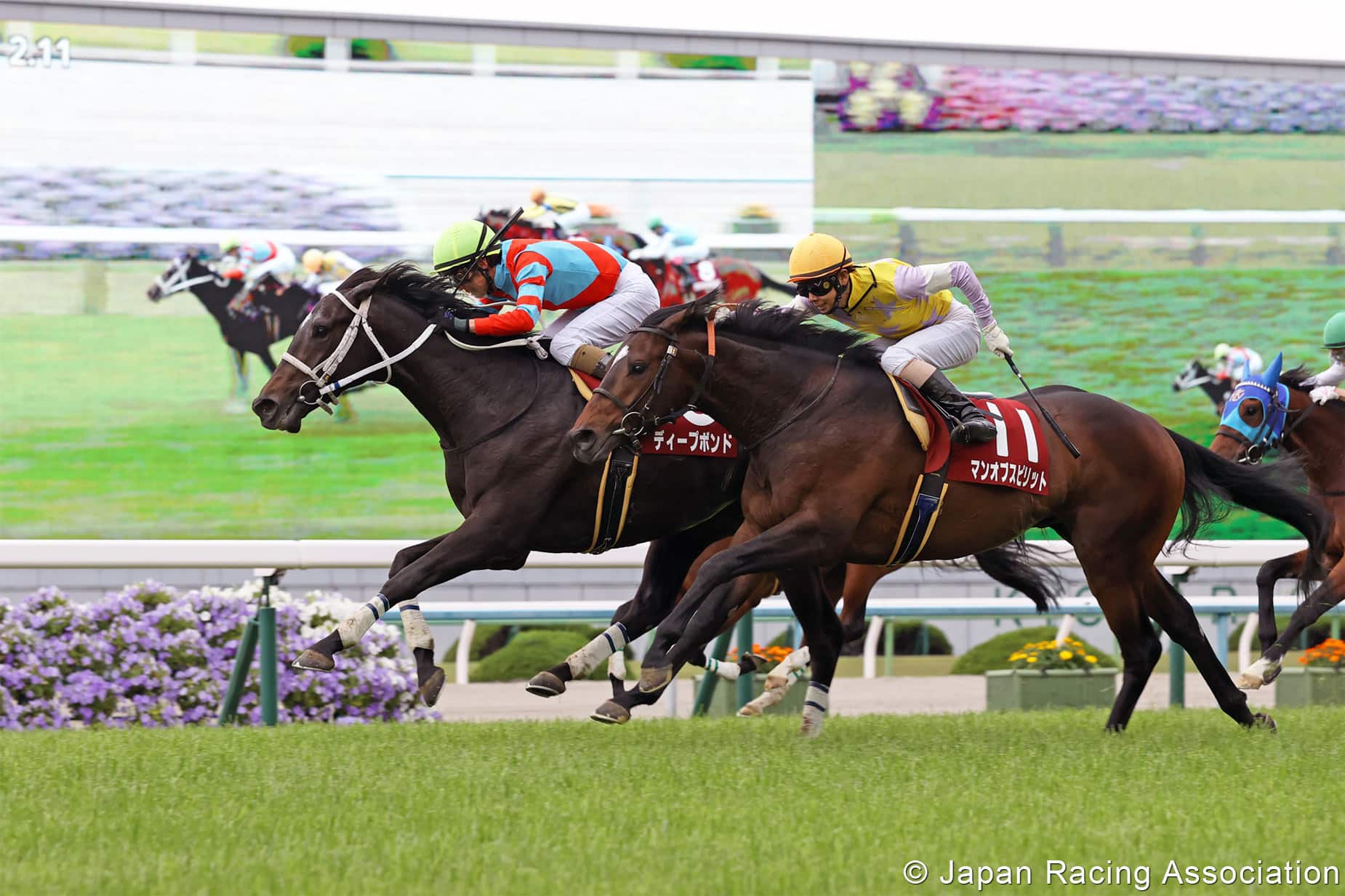 Gran Alegria Wins Yasuda Kinen to Qualify for Breeders’ Cup Mile