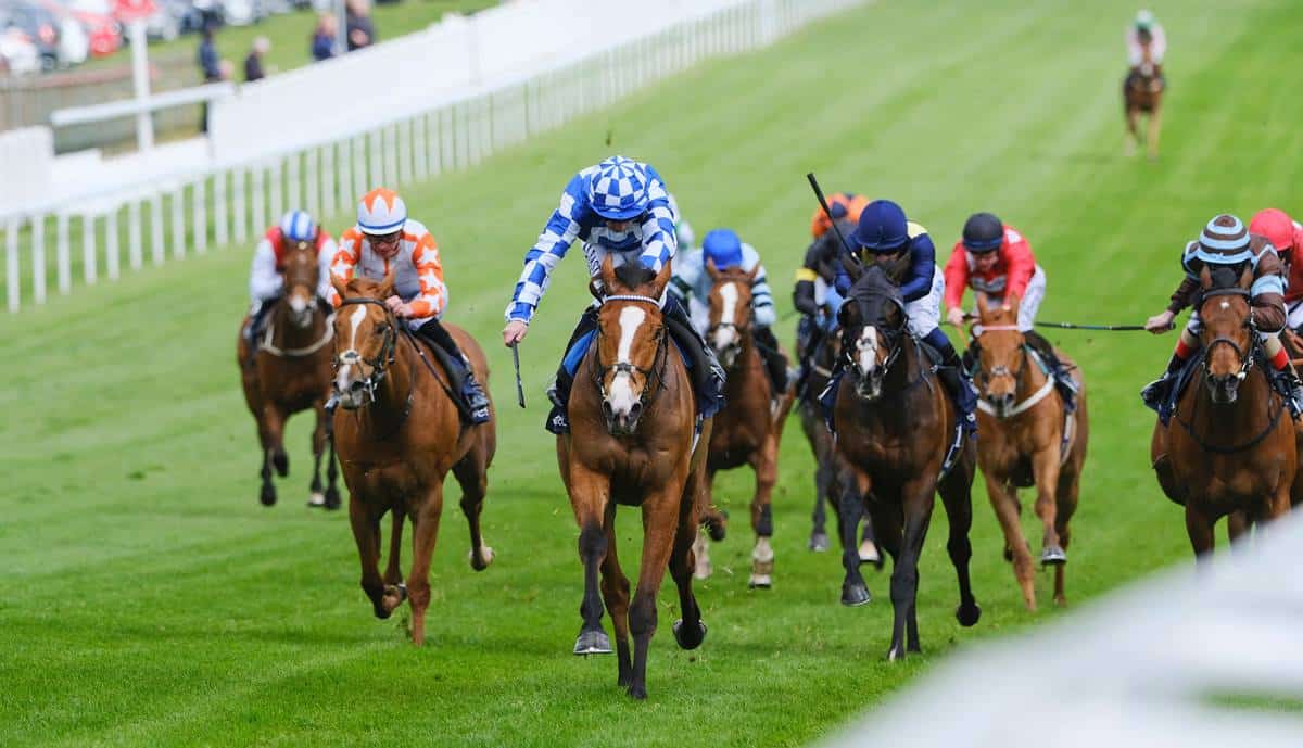 Investec Derby Draws 17 Including English King