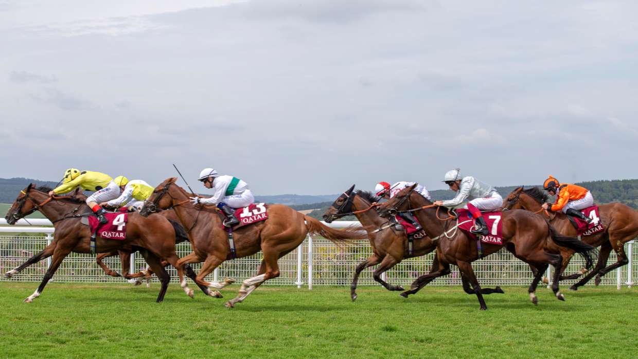 The Qatar Sussex Stakes Shines at Goodwood