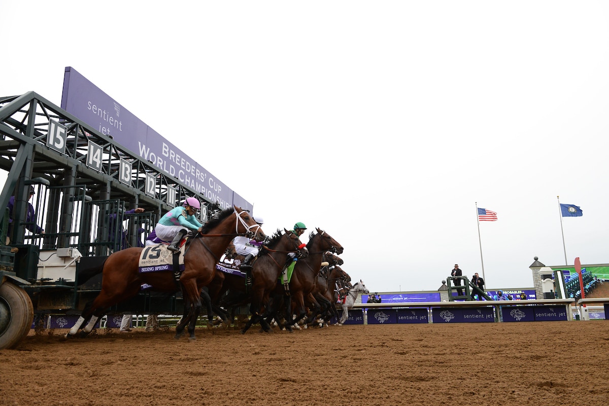 2020 Breeders’ Cup Classic Odds