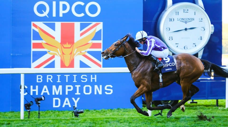 QIPCO British Champions Day Saturday at Ascot Horse Racing Reports