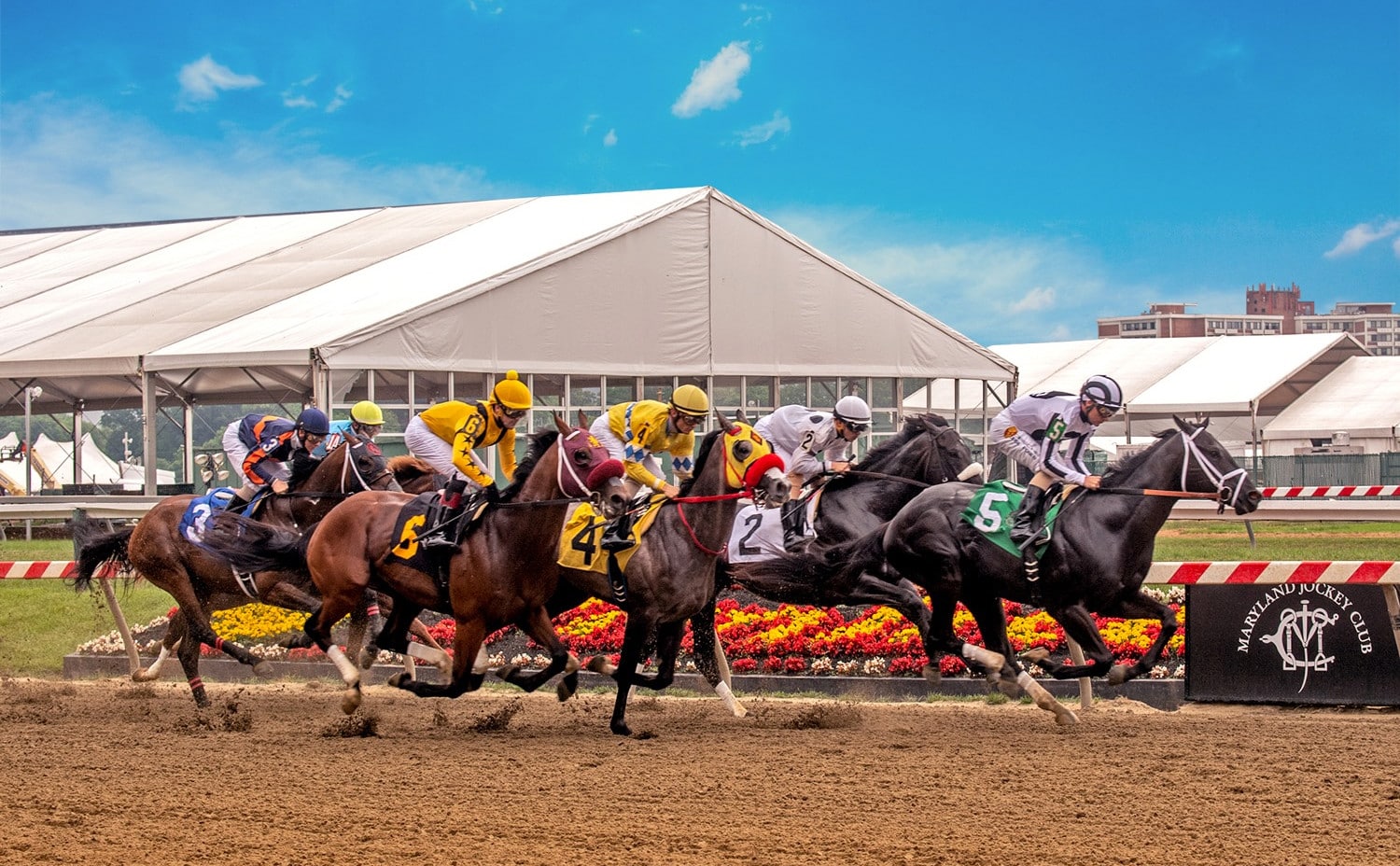 Authentic Solid Favorite in Preakness Stakes Horse Racing Reports and