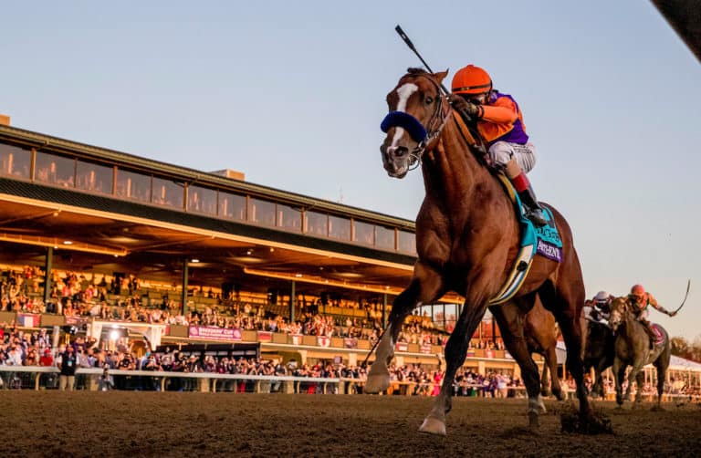2020 Breeders' Cup Results and Replays Horse Racing Reports and News