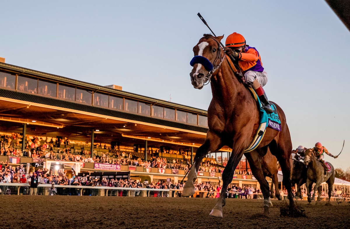 2020 Breeders’ Cup Results and Replays