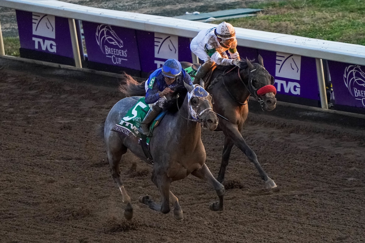 Updated 2021 Belmont Stakes Betting Odds