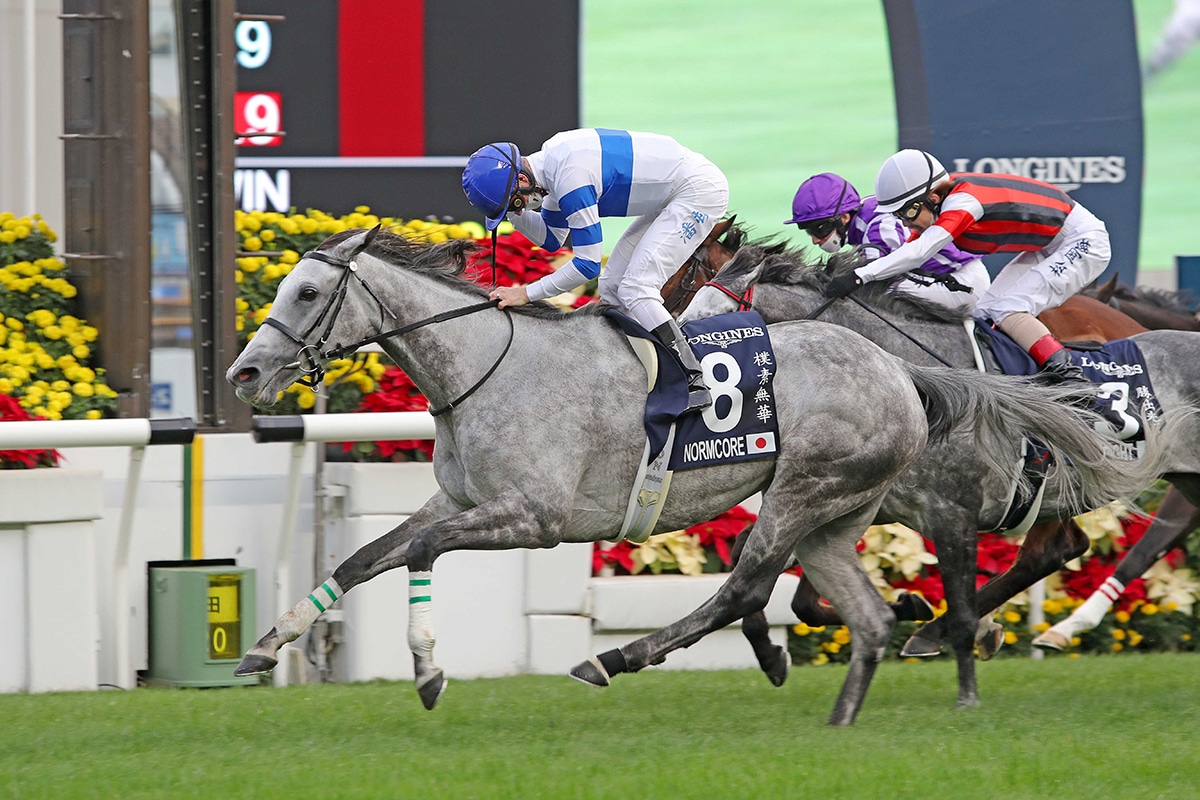 Normcore Victorious in Hong Kong Cup