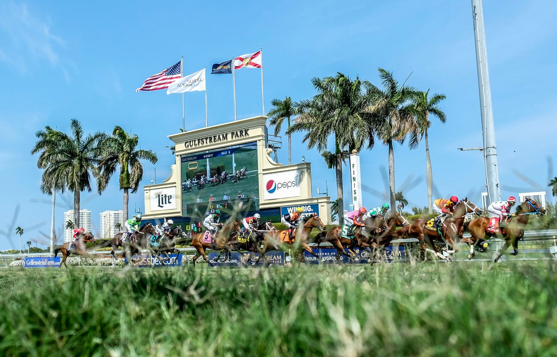 Dozen Including Four West Coasters Go in Pegasus World Cup Turf Horse