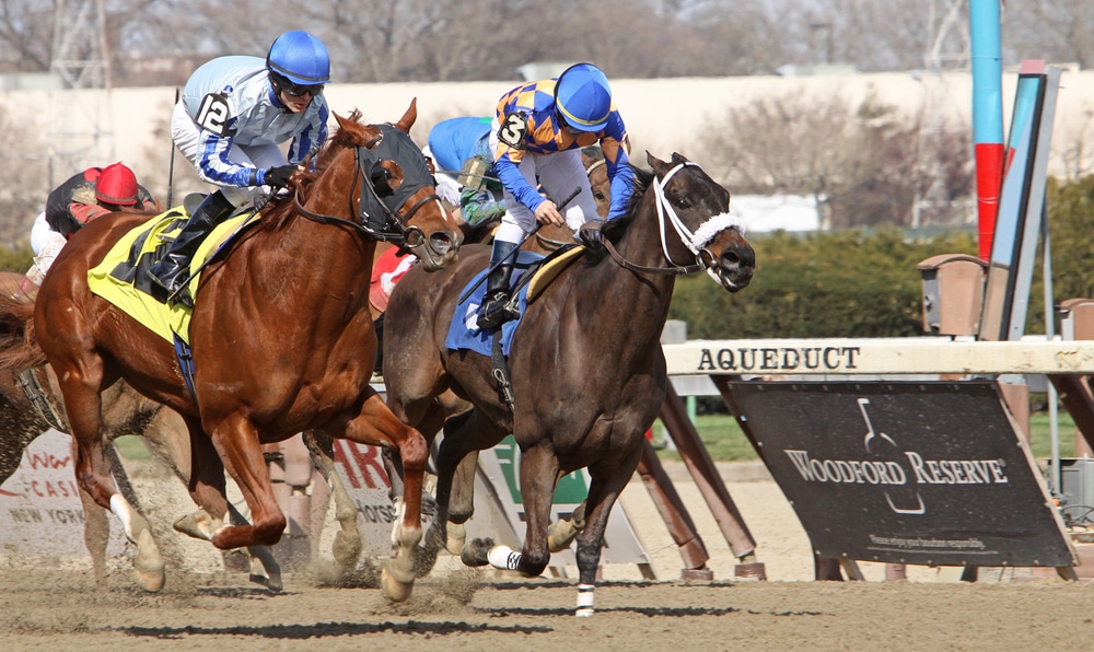 Rego Park at Aqueduct Features Three from Pletcher and Maker