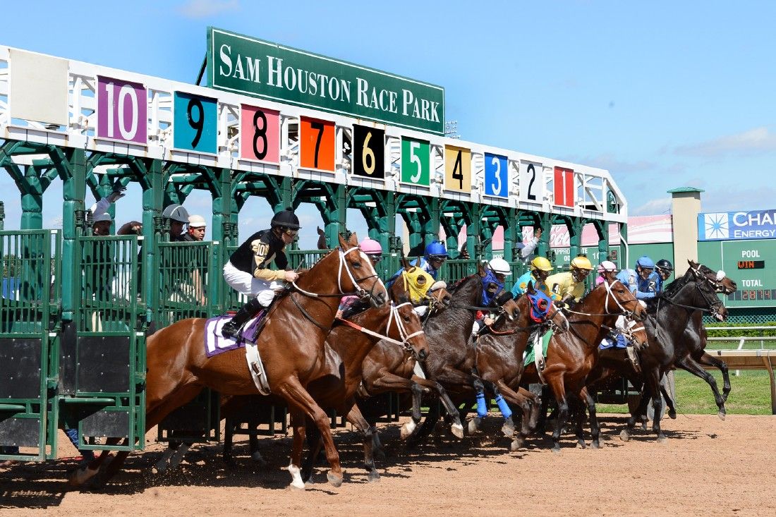 Six Stakes Highlight Houston Racing Festival Card Horse Racing