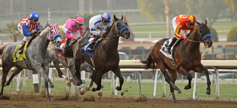 Baffert Sends Out Quartet in Santa Ynez