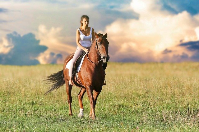 Horse woman