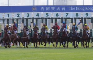 horse racing hong kong