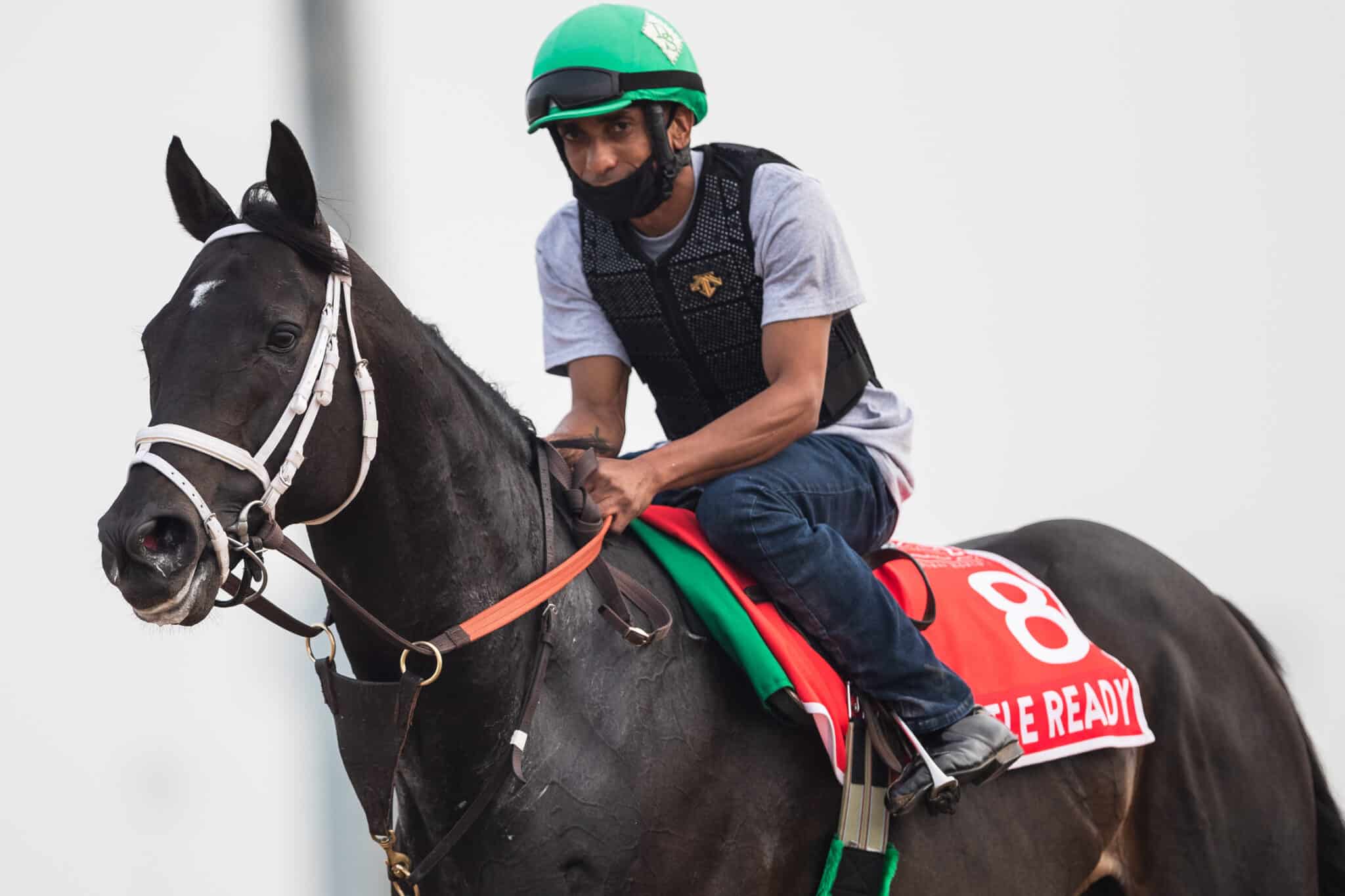 Likely Fields Set for Dubai World Cup Night