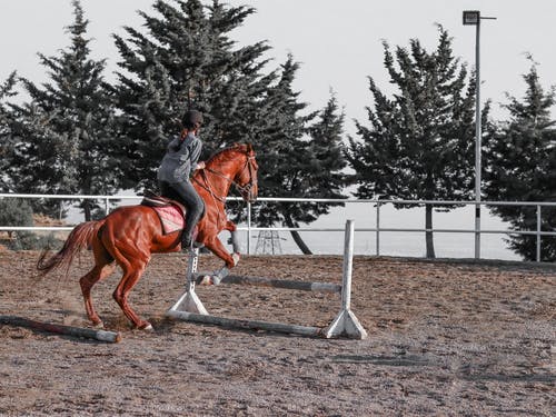 Most Common Mistakes Made by Beginner Horseback Riders