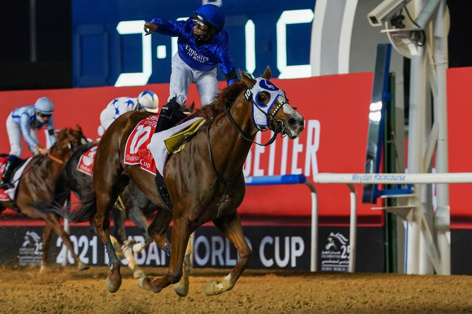 Thunder in the Desert – The Elite Arabian Horse Racing Scene