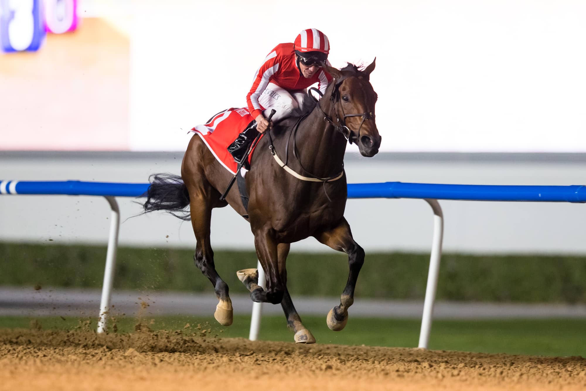 Salute the Soldier Wins Final Prep for Dubai World Cup