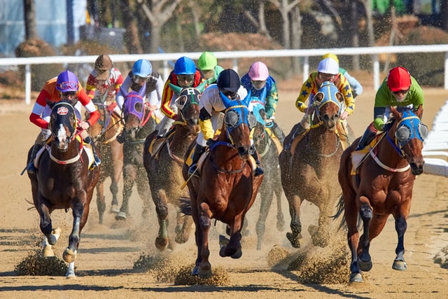 3 Top Horse Racing Betting Websites In The UK