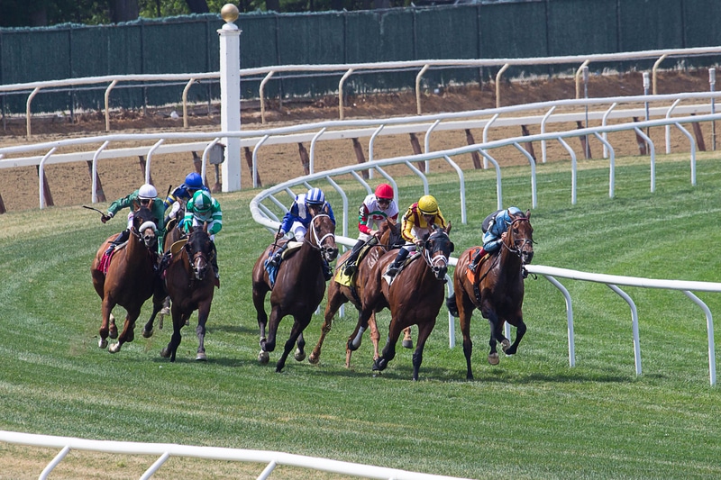 Wonder Again Highlight of Opening Day of Belmont Stakes Racing Festival