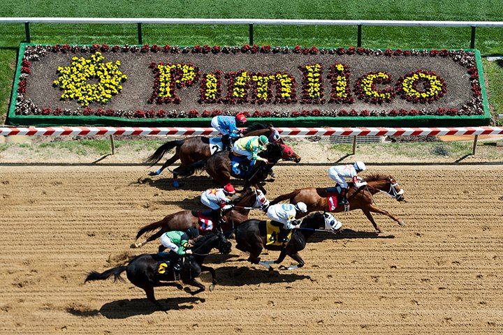 Tips to Get to Know the Horses Participating in the 2022 Preakness Stakes