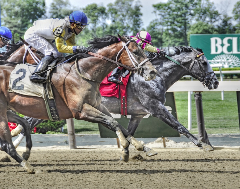 Belmont Stakes Day Features Eight Grade 1 Races