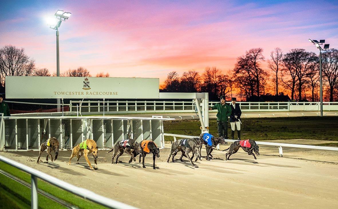 Who Were the Last Five Winners of the Greyhound Derby?