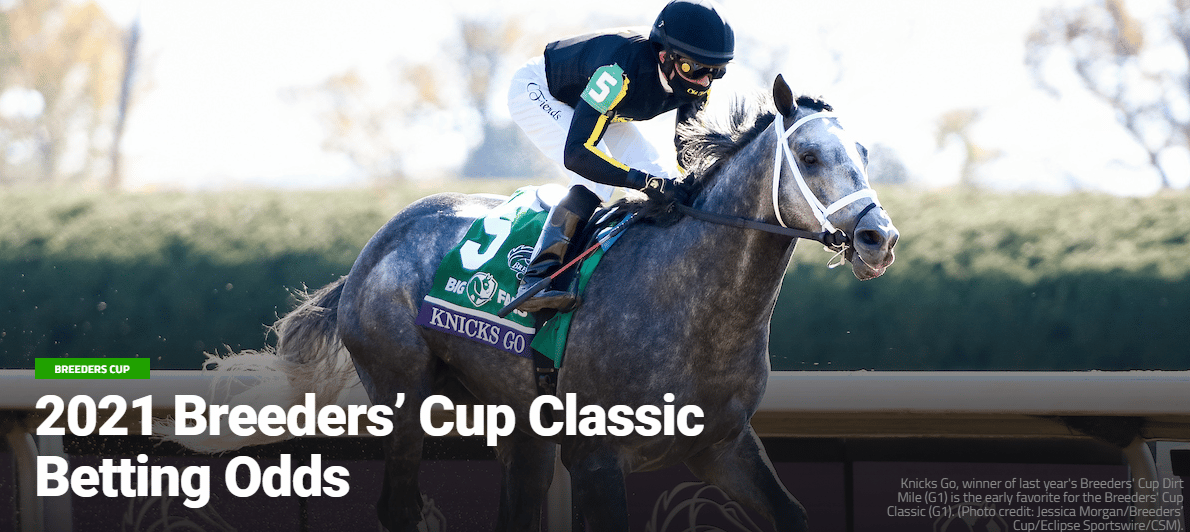 2021 Breeders’ Cup Betting Guide - Horse Racing Reports and News - Turfnsport