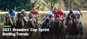 2021 Breeders' Cup Sprint Betting Trends