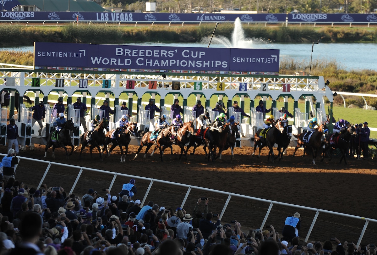2021 Breeders’ Cup Betting Guide