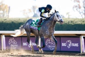 Breeders' Cup Classic Knicks Go
