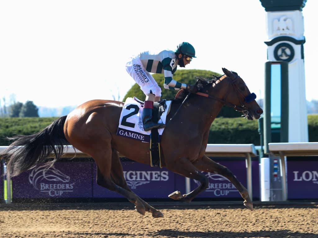 2021 Breeders’ Cup Filly & Mare Sprint Betting Trends - Horse Racing ...