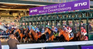 Breeders' Cup Juvenile Betting Trends