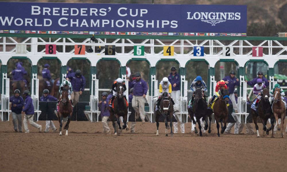 2021 Breeders' Cup PreEntries Horse Racing Reports and News Turfnsport