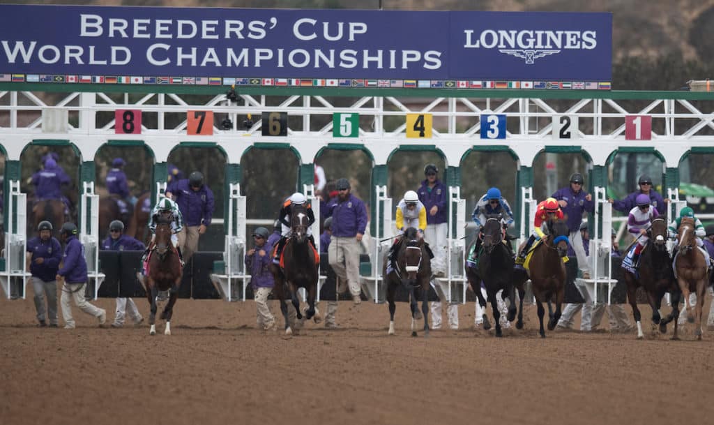 2021 Breeders' Cup Pre-Entries - Horse Racing Reports and News - Turfnsport
