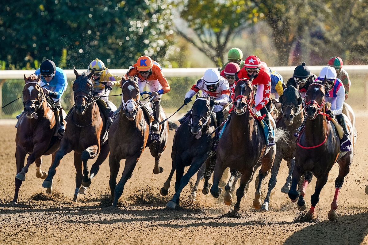 2021 Breeders’ Cup Sprint Betting Trends