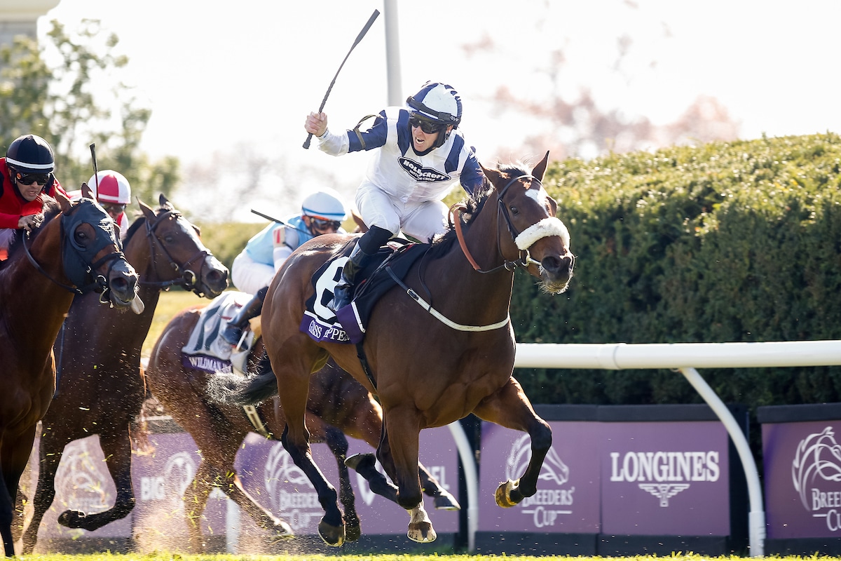 2021 Breeders’ Cup Turf Sprint: Ten Finest Horses To Look Out For 