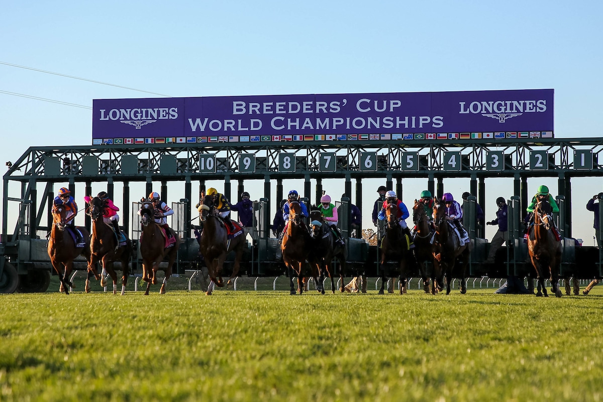 2021 Breeders’ Cup Turf Betting Trends