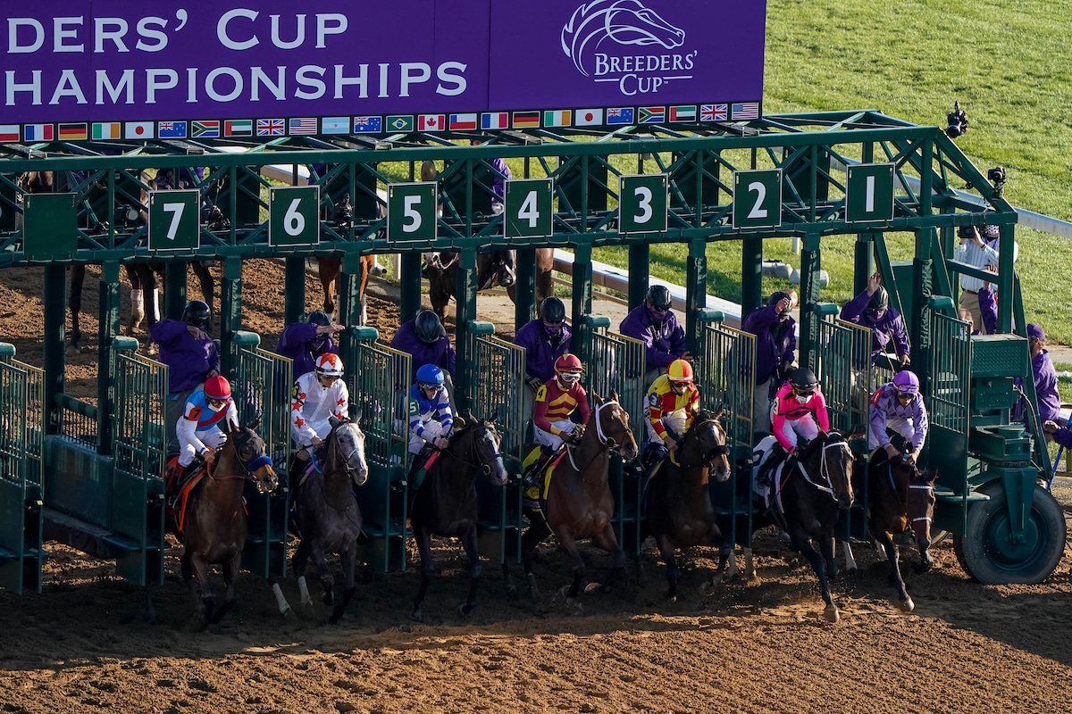 2021 Friday Breeders’ Cup Betting Odds